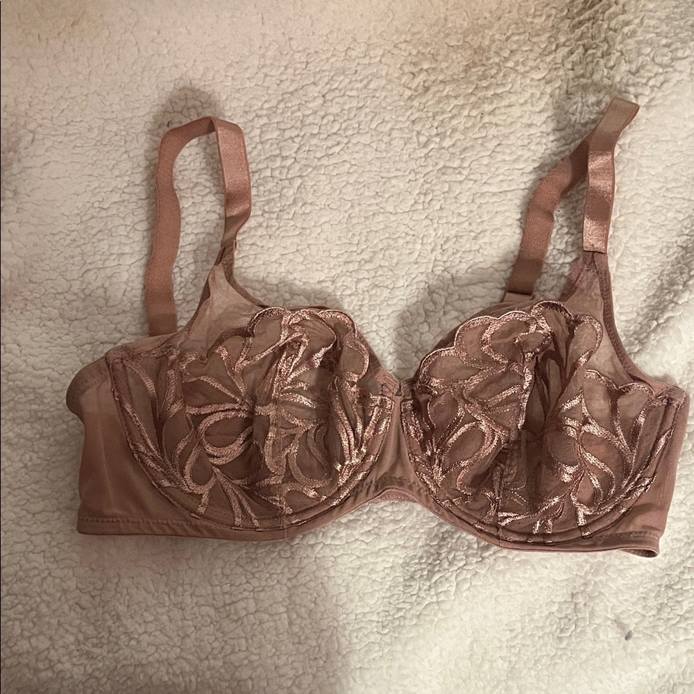 Paramour Embroidered Lace Bra -